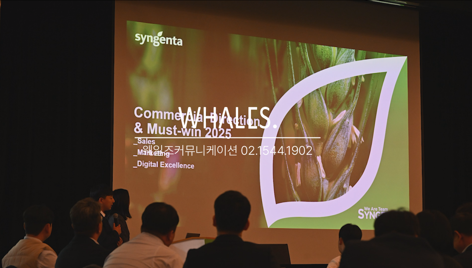 2024 SYNGENTA Commercial Direstion